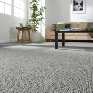 Conan Loop Feltback Living Room Carpets