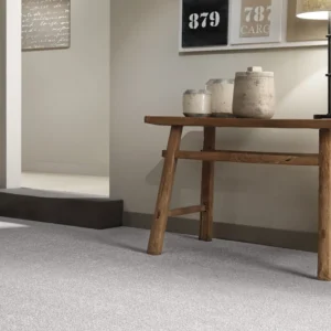 Belton Feltback Twist Living Room Carpet
