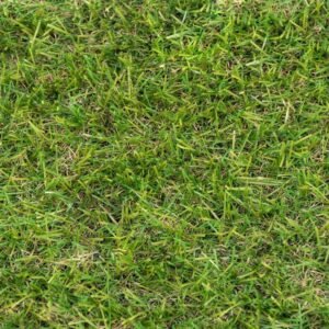 Yewvista 30mm Artificial Grass