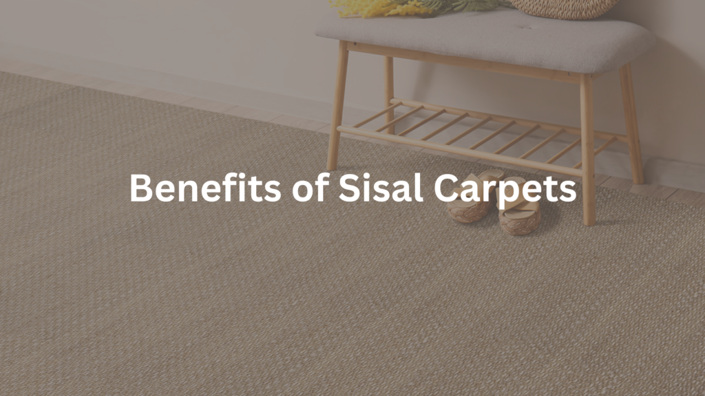 Sisal Carpets