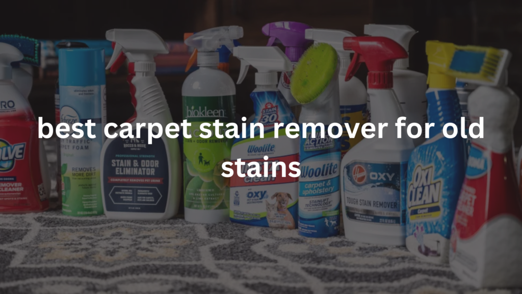 Best Carpet Stain Remover for Old Stains